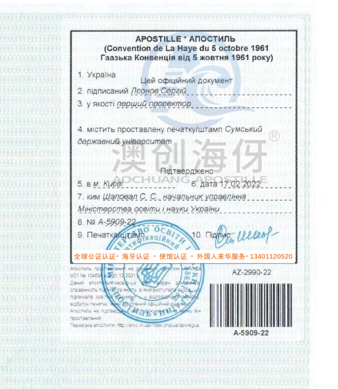 俄罗斯海牙认证-原件2_副本.png